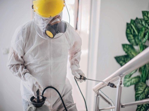 IdealCleaning Disinfection and Sanitization Services Dubai