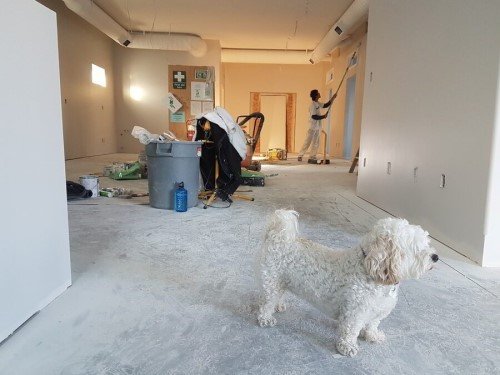 IdealCleaning Post Construction Cleaning Services Dubai