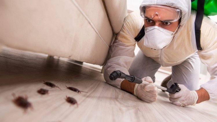 IdealCleaning Cockroach Control Dubai 1