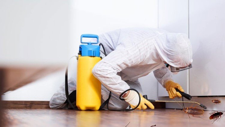 IdealCleaning Cockroach Control Dubai