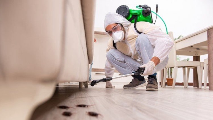 IdealCleaning Pest Control Services Dubai 1