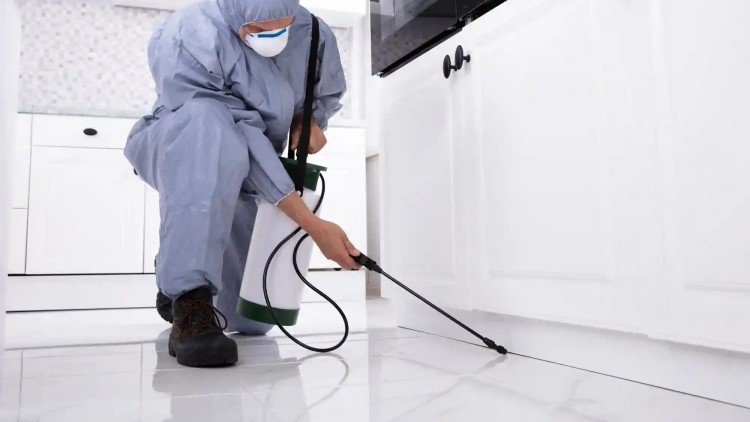 IdealCleaning Pest Control Services Dubai 3