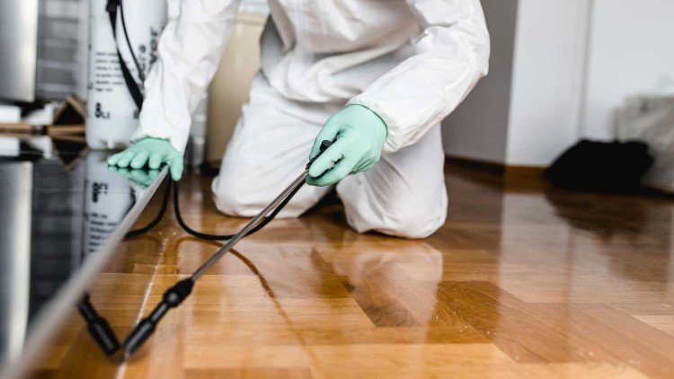 IdealCleaning Pest Control Services Dubai